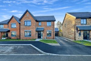 Photo 24- click for photo gallery